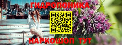 прущие грибы Балашиха