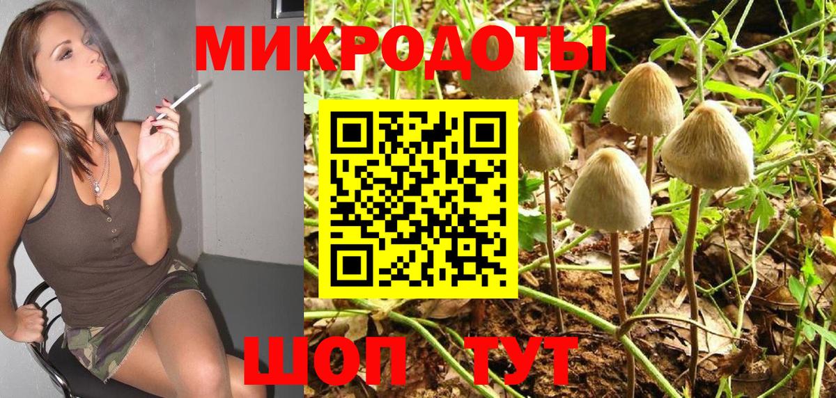 Ейск  Псилоцибиновые грибы мицелий  Псилоцибиновые грибы мицелий  Вход с VPN 
